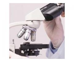 Sewa Pathology Labs