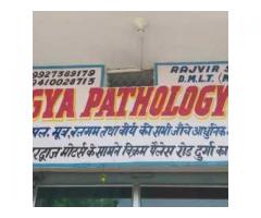 Aarogya Path Lab