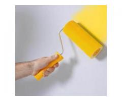 Dilip Painting Contractor