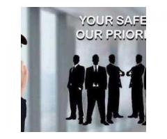 Wild Cat Security Services