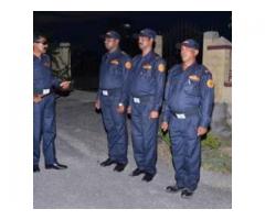 Falcon Security Services