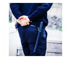 Power Security Force