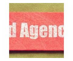 Taj Agency