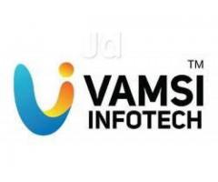Vamsi Infotech