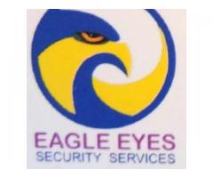 EAGLE EYES SOLUTION