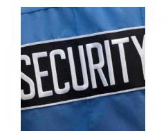 Lion Bird Security & Allied Services