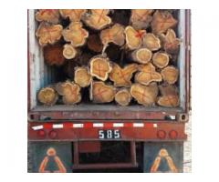 Jai Maruthi Sawmills & Wood Industries