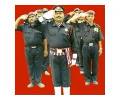 Black Cat Intellegence Pvt Ltd