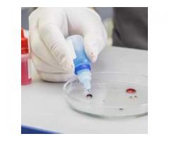 Healthcare Diagnostic Services