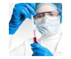 The Divine Gospel & Health Mission
