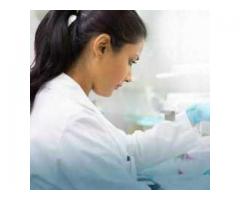 Shri Diagnostic