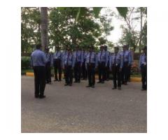 DEV Associates & Security Service