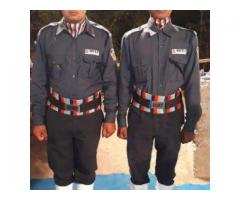Wise Security Service
