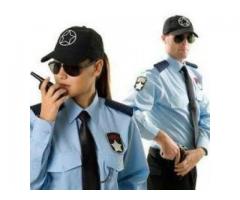 New Force Securities