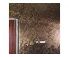 Special Effect Painting Designers