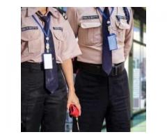 Ex Servicemensecurity Service