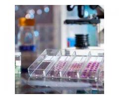 Sri Saravana Diagnostic Lab Center