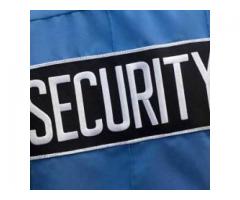 Professional Security And Facility Services