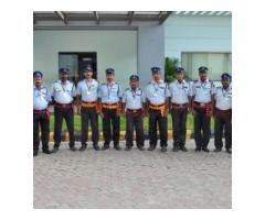 Tritan Security Services