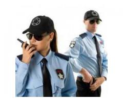 G Force Security