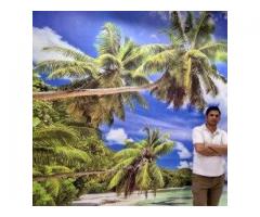 Vishal Arts