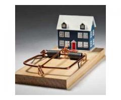 Damodar Maintenance Services And Pest Control