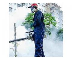 PS Maintenance Service And Pest Control