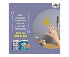 Jewel Paints