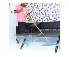 Pokars An Executive Cleaning Service